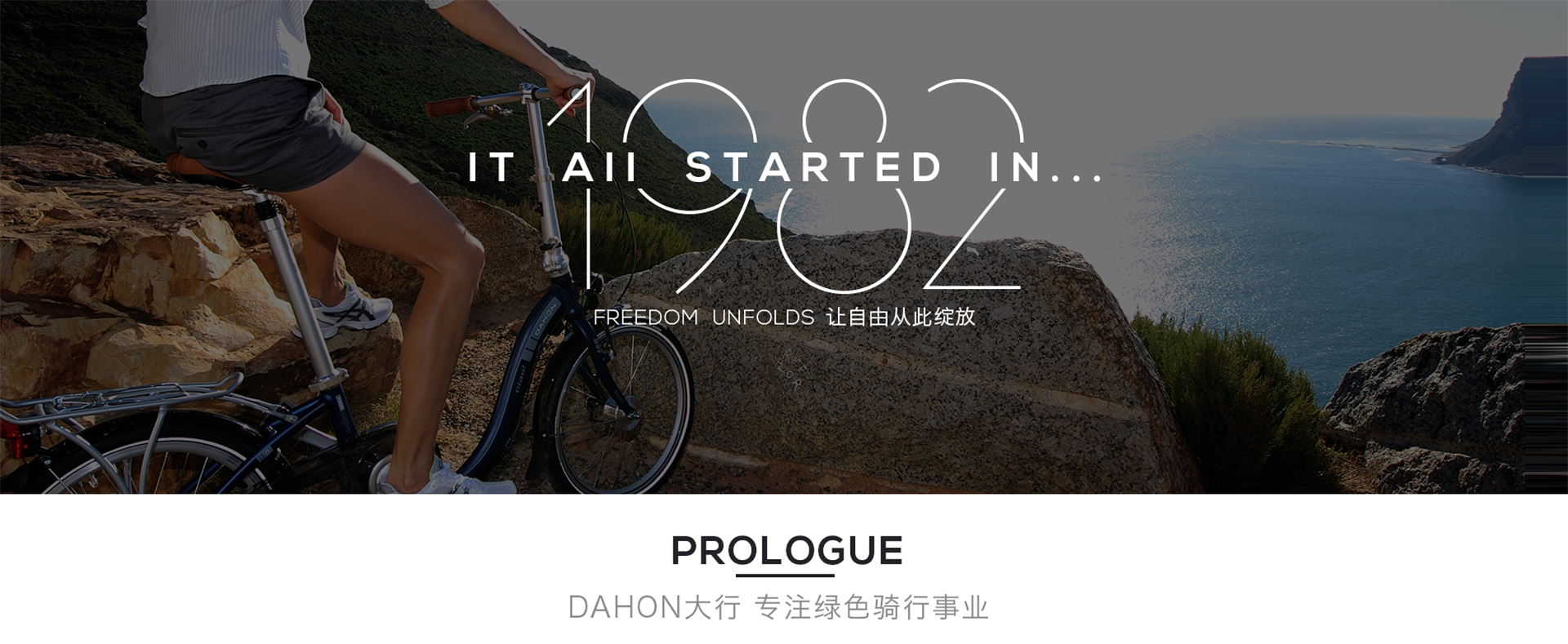 DAHON大行自行车